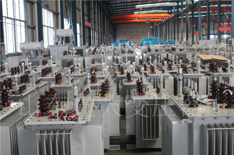 临洮S22-800KVA/10KV油浸式变压器